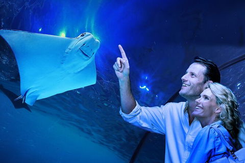 Cairns Aquarium Tour By Twilight With Drink And Appetiser - Accommodation Search 0