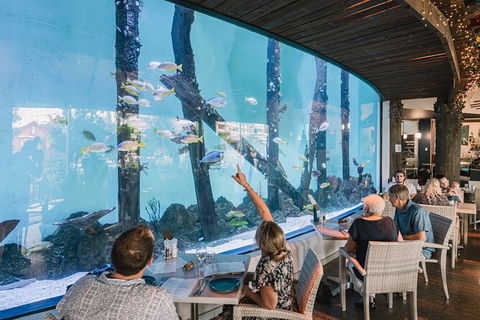 Cairns Aquarium Tour By Twilight With Drink And Appetiser - Accommodation Search 1