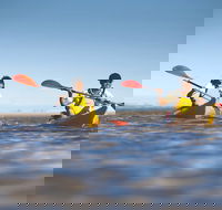 Kangaroo Island Self-Guided Kayaking on the Harriet River - Accommodation Search