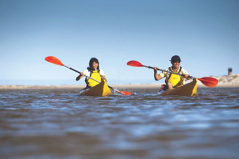Kangaroo Island Self-Guided Kayaking On The Harriet River - Accommodation Search 0