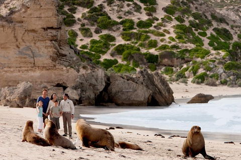 Kangaroo Island Scenic Trail Tour - Accommodation Search 1