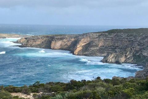 Kangaroo Island Scenic Trail Tour - Accommodation Search 4