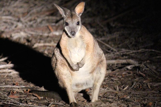 Vasse ACT Accommodation Search
