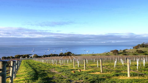 Kangaroo Island Gourmet Food And Wine Trail Tour - Accommodation Search 3