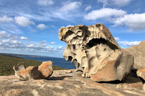 Kangaroo Island 4WD - Best Of KI In 2 Days - Accommodation Search 1
