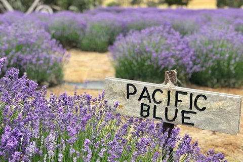 Kangaroo Island Food And Wine Trail Tour - Accommodation Search 2