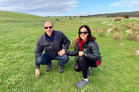 Kangaroo Island 4WD - Seal Bay - Accommodation Search 5