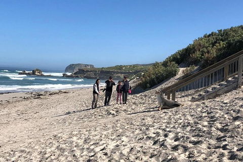 Kangaroo Island 4WD - Seal Bay - Accommodation Search 2