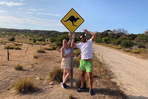 Kangaroo Island 4WD Tour - Dudley Peninsula - Accommodation Search 0