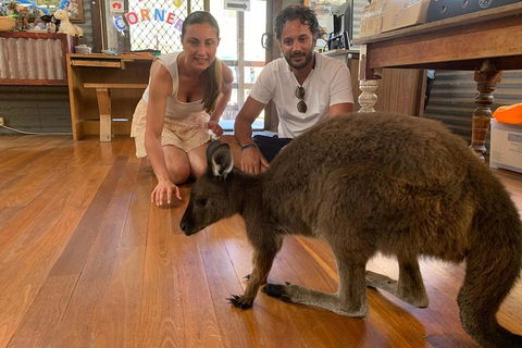 Kangaroo Island 4WD Tour - Dudley Peninsula - Accommodation Search 2