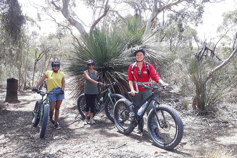 Kangaroo Island 2 Hour Bike Tour - Accommodation Search 5