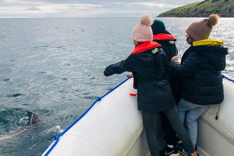 Kangaroo Island 75-Minute Ocean Safari - Accommodation Search 2