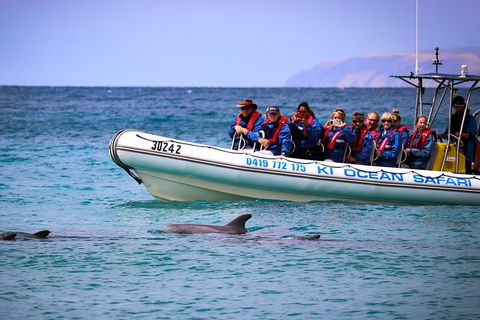 Kangaroo Island 75-Minute Ocean Safari - Accommodation Search 0