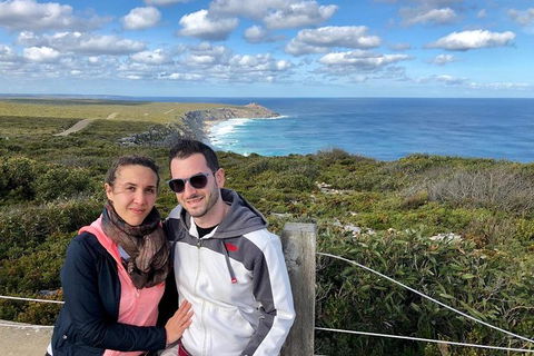 NEW TOUR - Flinders Chase Tour (Recovering From Fires) - Accommodation Search 3
