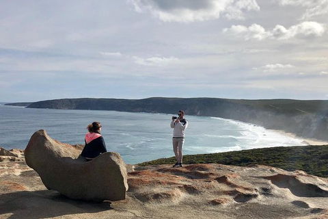 NEW TOUR - Flinders Chase Tour (Recovering From Fires) - Accommodation Search 5