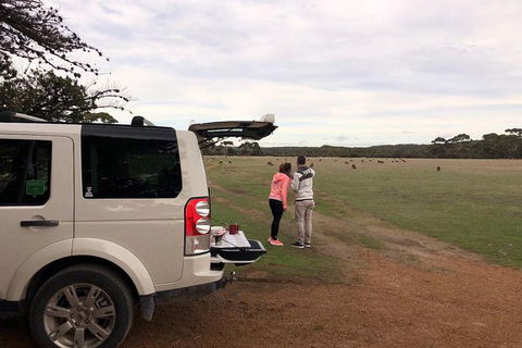 NEW TOUR - Flinders Chase Tour (Recovering From Fires) - Accommodation Search 6