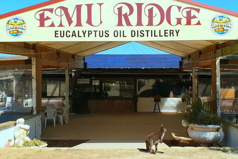 Full-Day Kangaroo Island Safari From Penneshaw - Accommodation Search 3