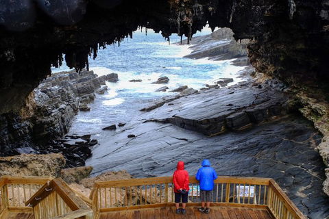 Full-Day Kangaroo Island Safari From Penneshaw - Accommodation Search 1