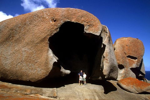 Full-Day Kangaroo Island Safari From Penneshaw - Accommodation Search 0