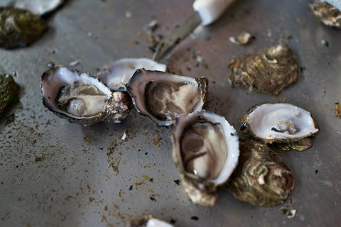 Fine Flavours - Full Day Kangaroo Island Food & Wine Tour - Accommodation Search 10