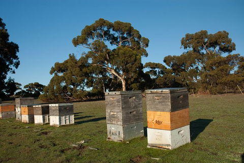 Fine Flavours - Full Day Kangaroo Island Food & Wine Tour - Accommodation Search 5
