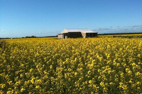 Fine Flavours - Full Day Kangaroo Island Food & Wine Tour - Accommodation Search 11