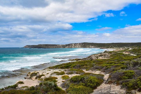 Kangaroo Island Luxury Small Group \'East End Explorer\' Full Day Tour - Accommodation Search 4