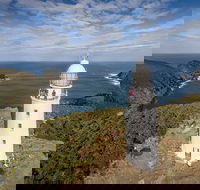 Bruny Island Day Tour Includes Lunch and Exclusive Lighthouse Tour - Accommodation Search