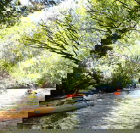 Paddle with the Platypus Twilight Kayak Adventure - Accommodation Search