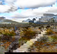 Cradle Mountain Day Tour - Accommodation Search