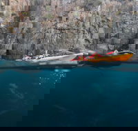 Tasman Peninsula full day kayaking tour - Accommodation Search
