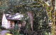 Cradle Mountain Park Explorer - thumb 4