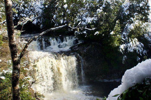 Cradle Mountain Park Explorer - Accommodation Search 1