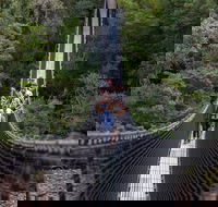 Tahune Airwalk Active Day Trip from Hobart Including Hastings Caves - Accommodation Search