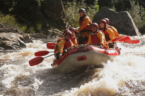 King River White Water Raft Journey From Queenstown With Lunch - Accommodation Search 4