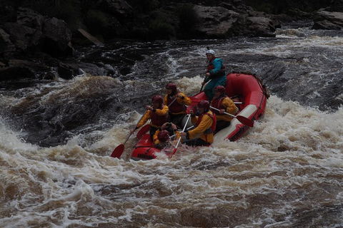 King River White Water Raft Journey From Queenstown With Lunch - Accommodation Search 5