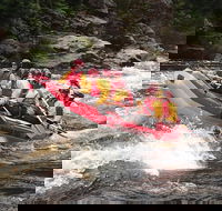 King River White Water Raft Journey from Queenstown with Lunch - Accommodation Search