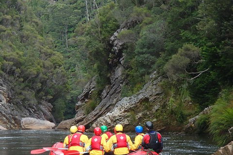King River White Water Raft Journey From Queenstown With Lunch - Accommodation Search 1