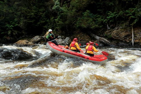 King River Whitewater Rafting Trip Including The Westcoast Wilderness Railway - Accommodation Search 3