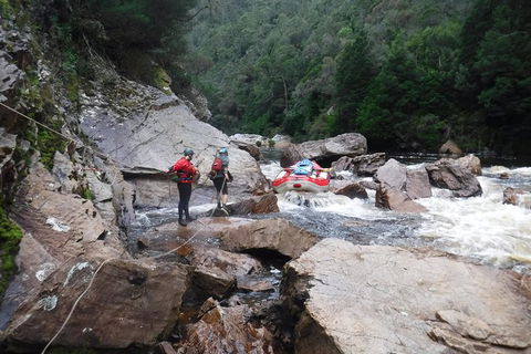 King River Whitewater Rafting Trip Including The Westcoast Wilderness Railway - Accommodation Search 2