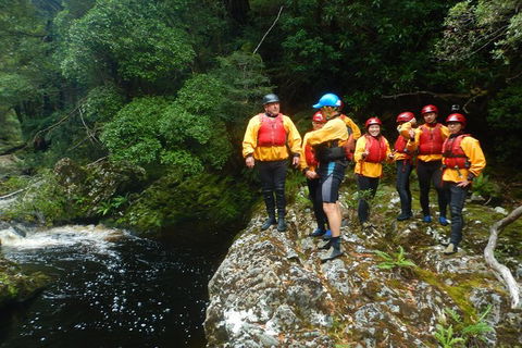 King River Whitewater Rafting Trip Including The Westcoast Wilderness Railway - Accommodation Search 4