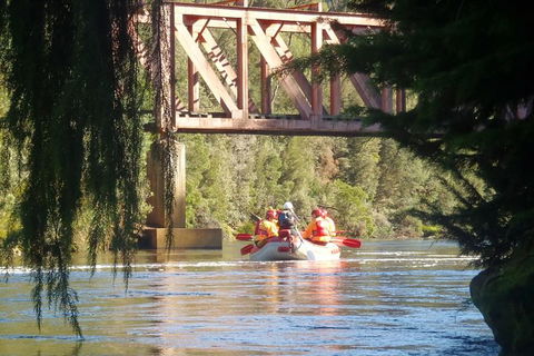 King River Rafting Day Trip From Queenstown To Strahan And Return Including The West Coast Wilderness Railway - Accommodation Search 1