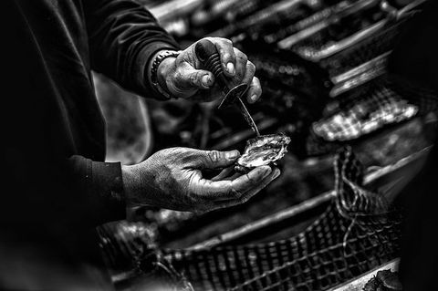 Full Day Tour Hobart: East Coast Classic Wine, Beach, Oysters, Seafood & Berries - Accommodation Search 17