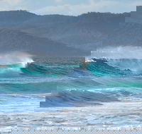 Full Day Tour Hobart East Coast Classic Wine Beach Oysters Seafood  Berries - Accommodation Search