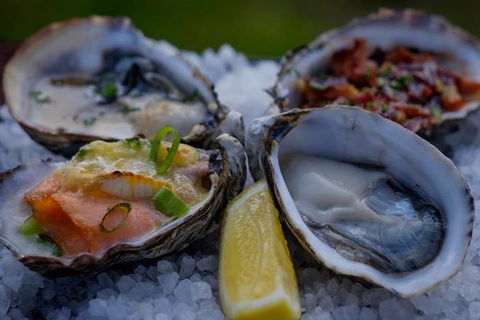 Full Day Tour Hobart: East Coast Classic Wine, Beach, Oysters, Seafood & Berries - Accommodation Search 3