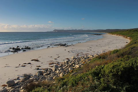 Full Day Tour Hobart: East Coast Classic Wine, Beach, Oysters, Seafood & Berries - Accommodation Search 4