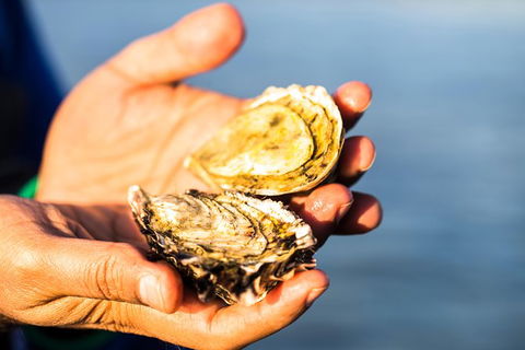 Full Day Tour Hobart: East Coast Classic Wine, Beach, Oysters, Seafood & Berries - Accommodation Search 11