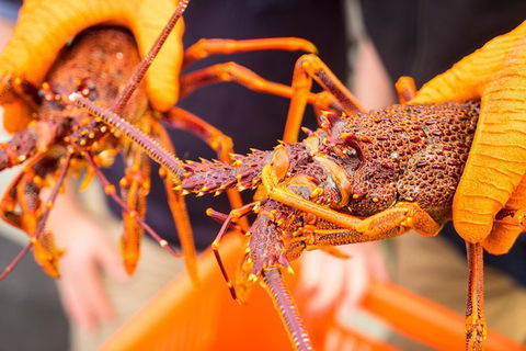 Full Day Tour Hobart: East Coast Classic Wine, Beach, Oysters, Seafood & Berries - Accommodation Search 12