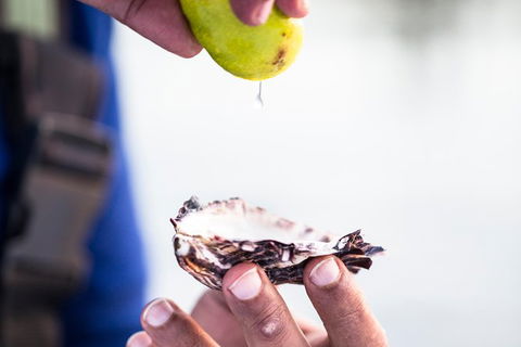 Full Day Tour Hobart: East Coast Classic Wine, Beach, Oysters, Seafood & Berries - Accommodation Search 18