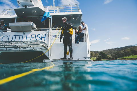 Deep-to-Dish: Tasmanian Seafood Experience - Afternoon Tour - Accommodation Search 6